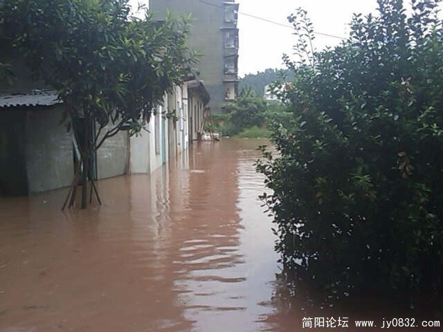 IMAG0013.jpg