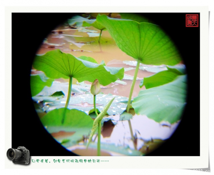 照片0020.jpg