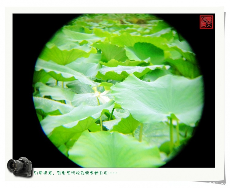 照片0024.jpg