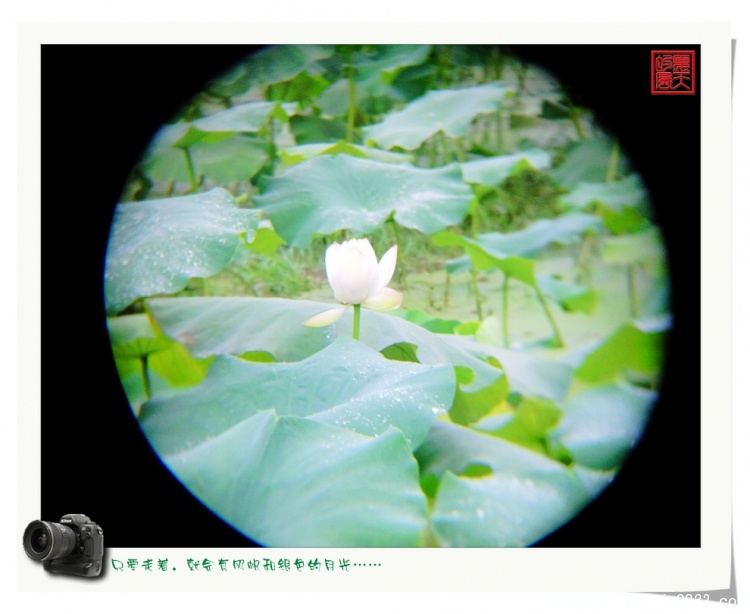 照片0034.jpg
