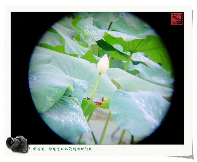 照片0049.jpg