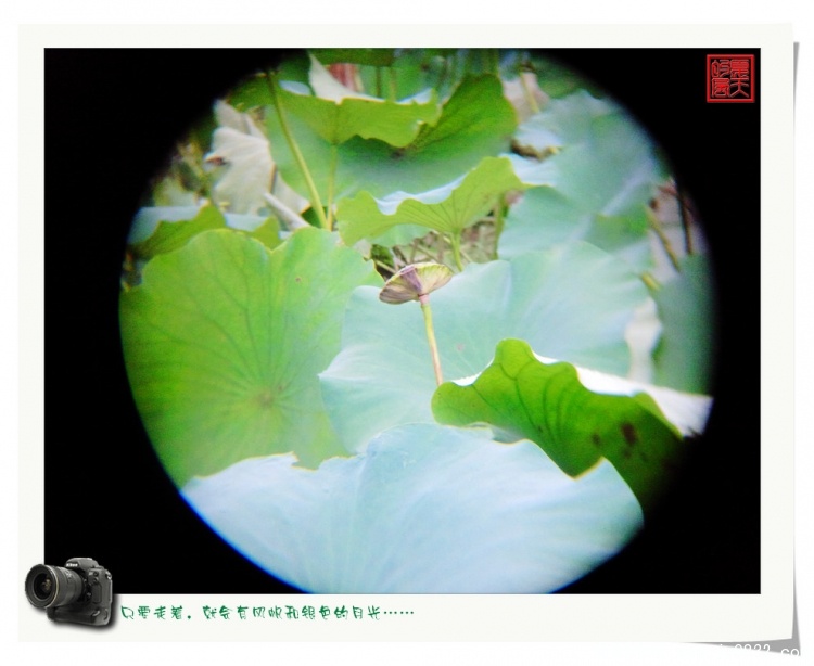照片0063.jpg