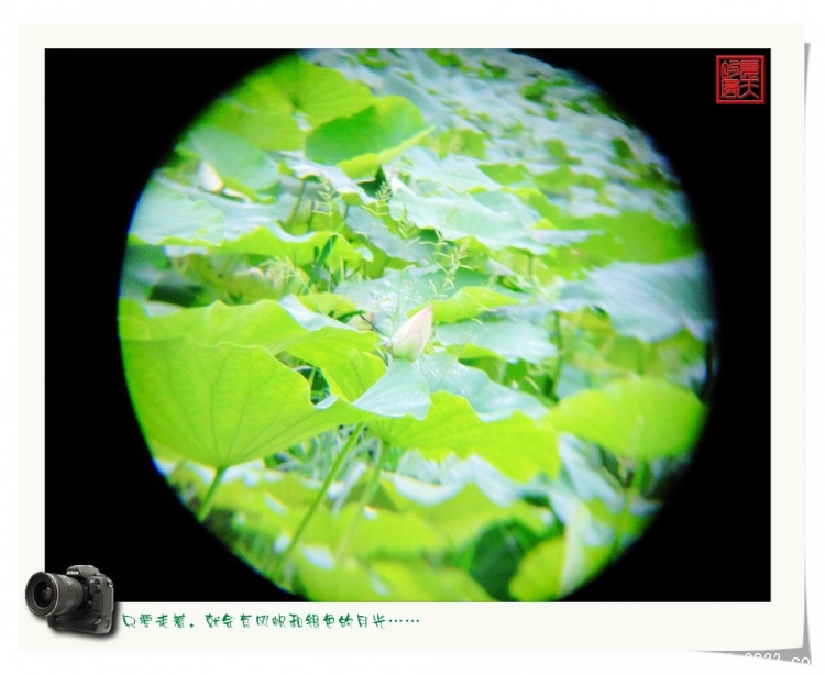 照片0053.jpg