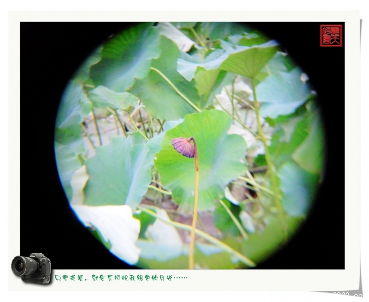 照片0064.jpg