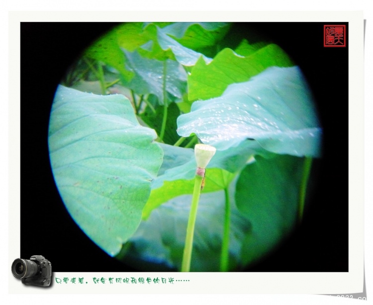 照片0092.jpg
