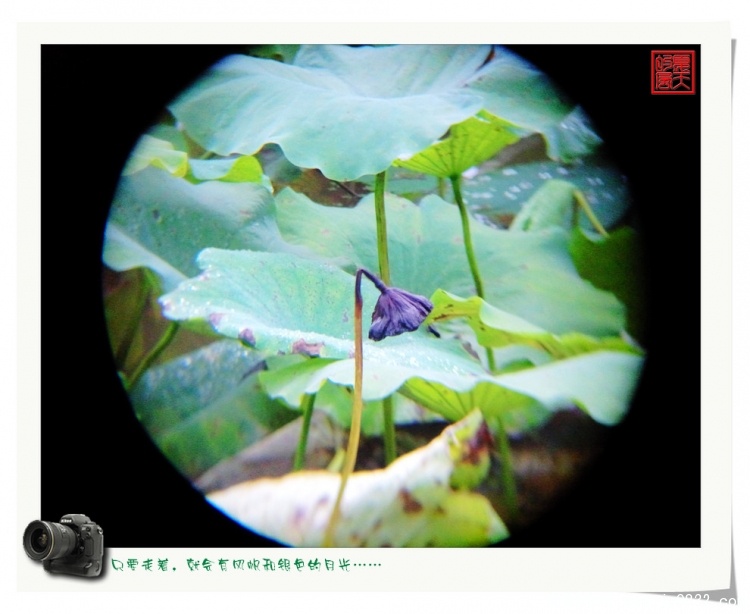 照片0087.jpg