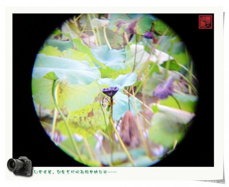 照片0088.jpg