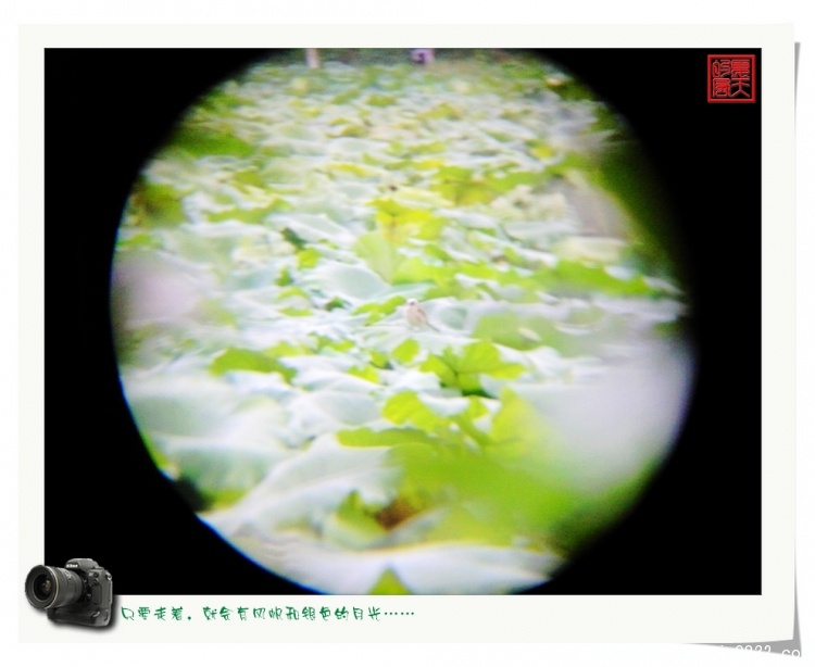 照片0085.jpg