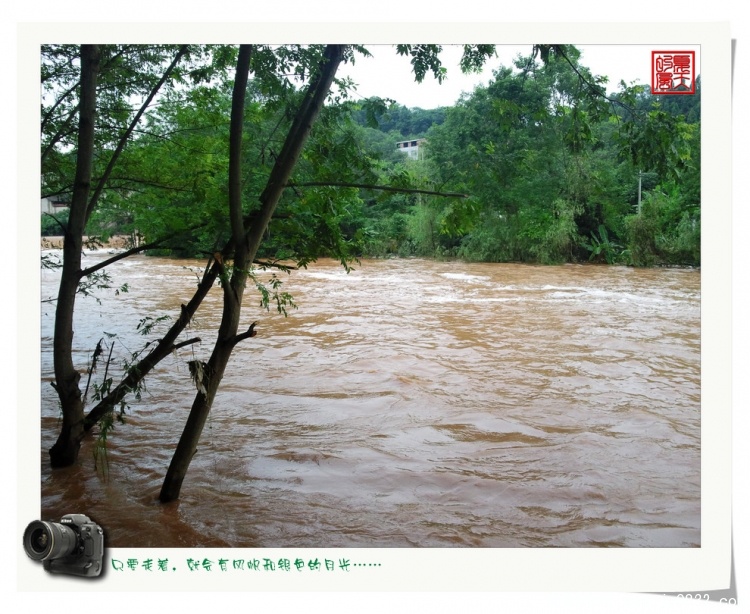 照片0013.jpg