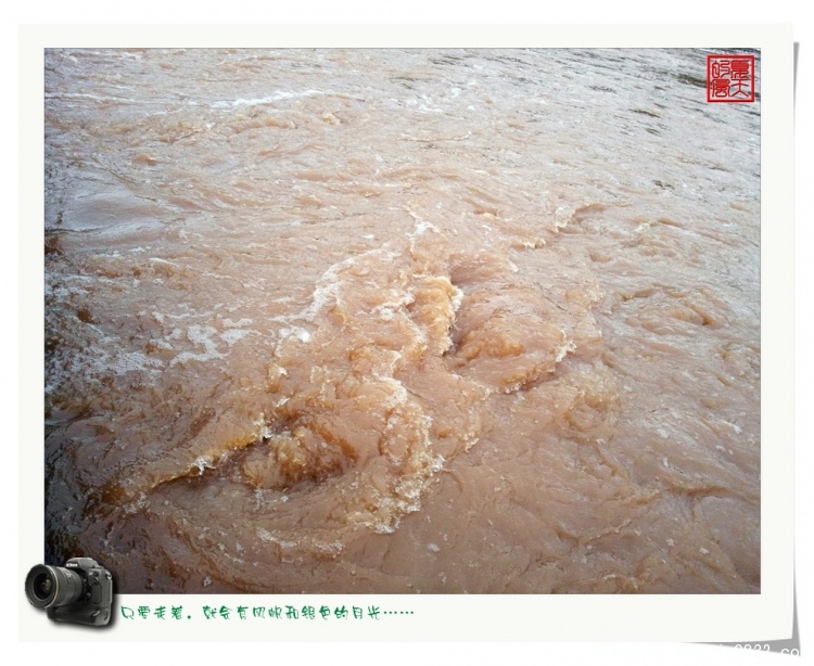 照片0005.jpg