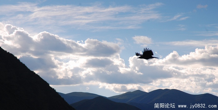 nEO_IMG_新都桥 (280).jpg