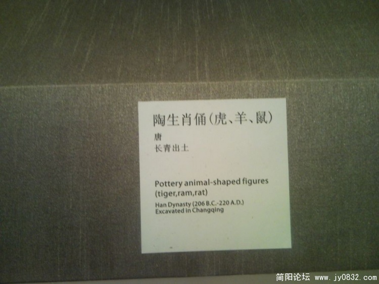 SNC00267.jpg