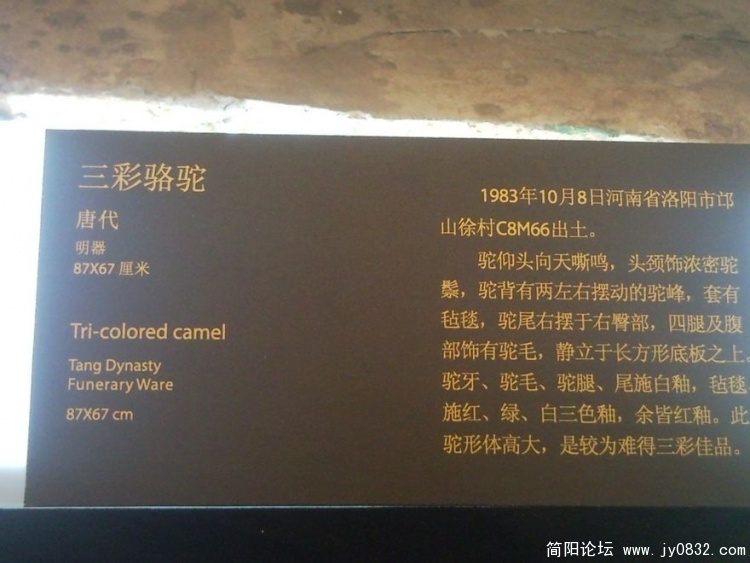 SNC00292.jpg