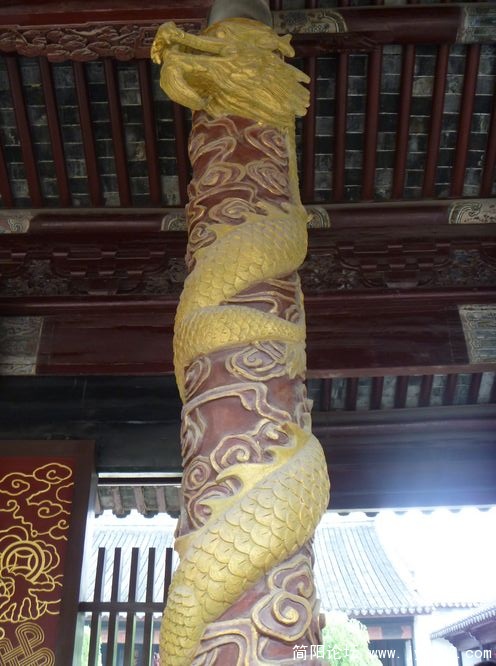 P1000420.jpg