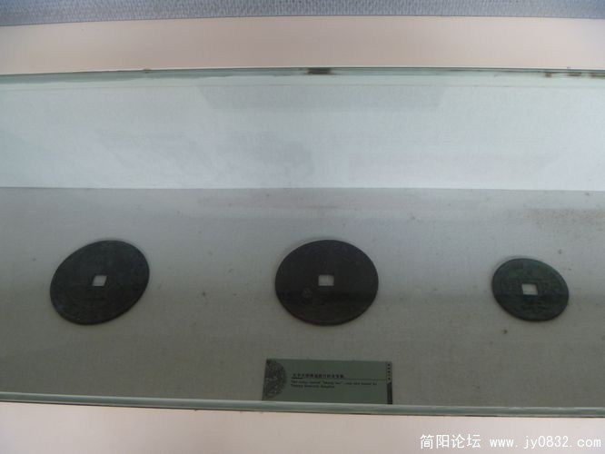 P1000430.jpg