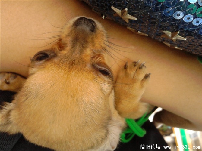 1的.jpg