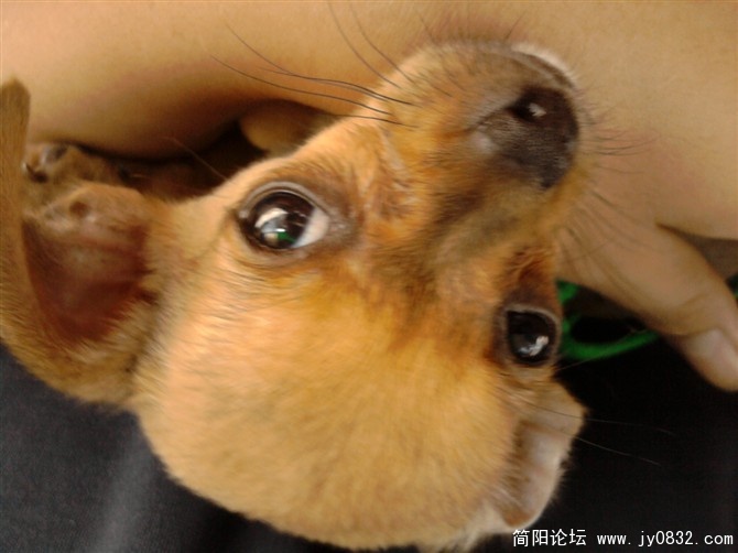 分为七热舞.jpg