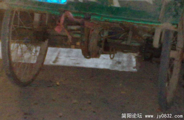 255767.jpg