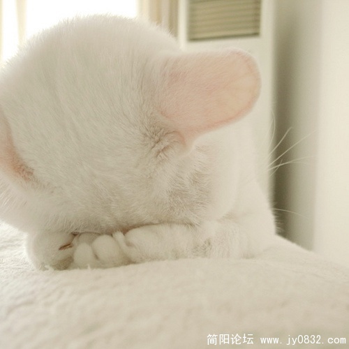 羞羞。。。.jpg