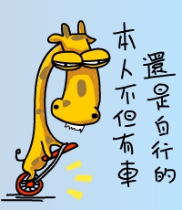 43.jpg