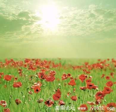 a32615af7d383117c2120562c5acf37d.jpg