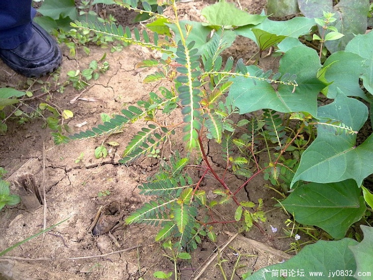 20100903345_调整大小.jpg