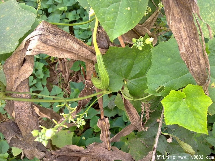 20100903352_调整大小.jpg