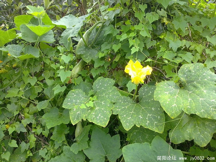 20100903355_调整大小.jpg