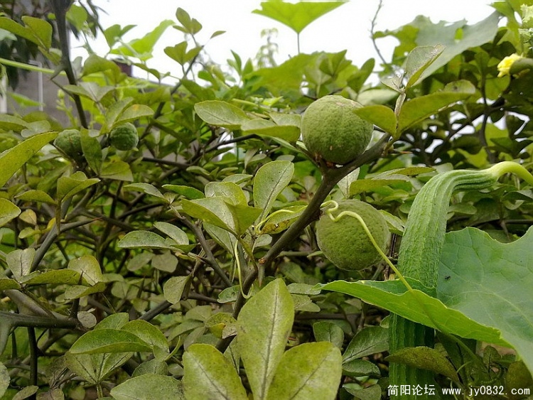 20100903360_调整大小.jpg