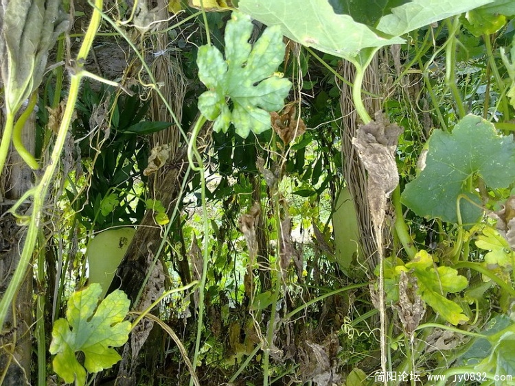 20100903363_调整大小.jpg