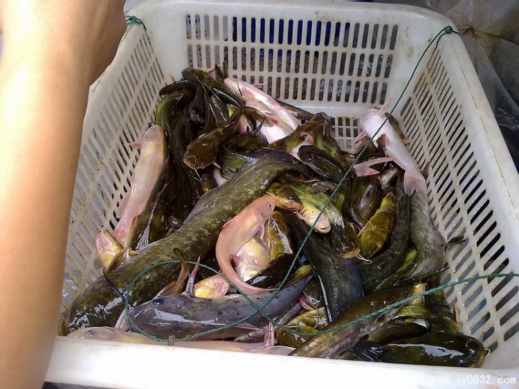 20100903367_调整大小.jpg