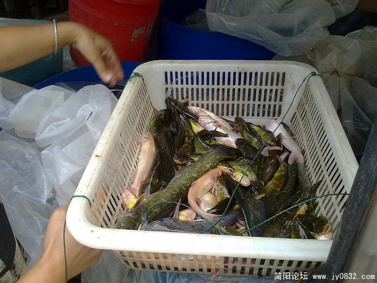 20100903368_调整大小.jpg
