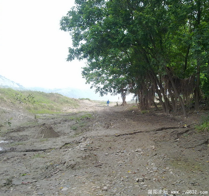 20100903375.jpg