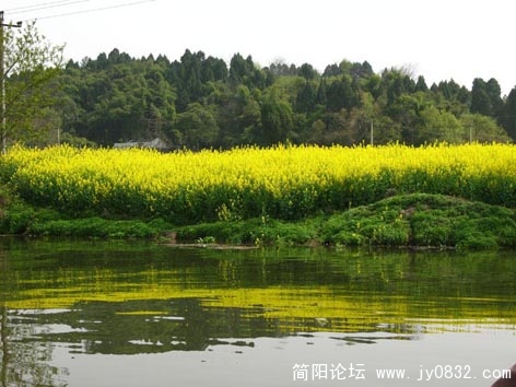 春回沱江6.jpg
