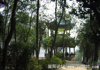 2010.5.24.简阳人民公园 091.jpg