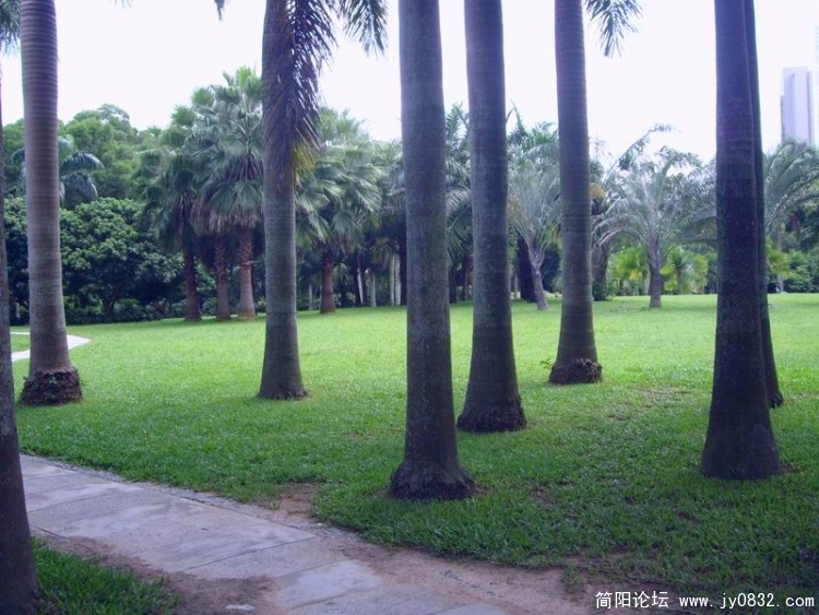 SL702995.jpg