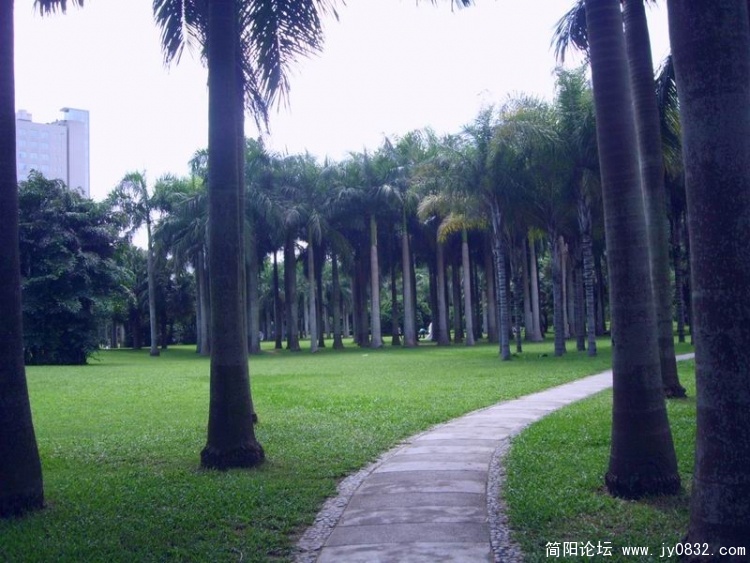 SL702997.jpg