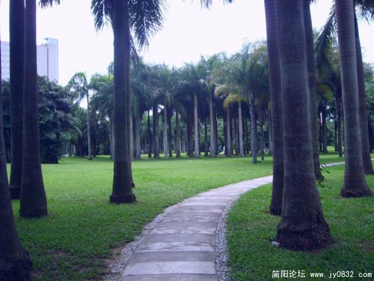 SL702993.jpg