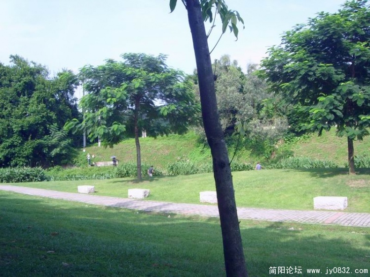 SL703002.jpg