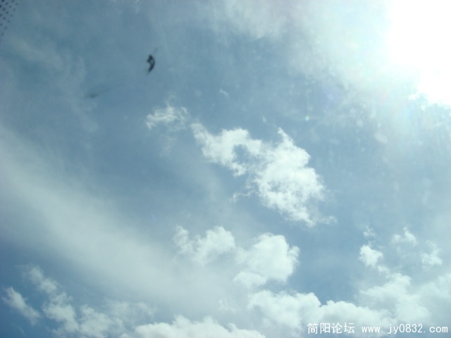 DSC04756.JPG