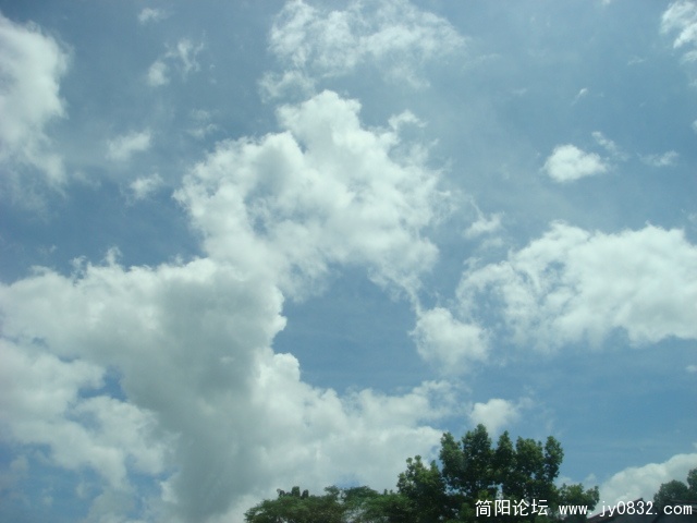 DSC04778.JPG