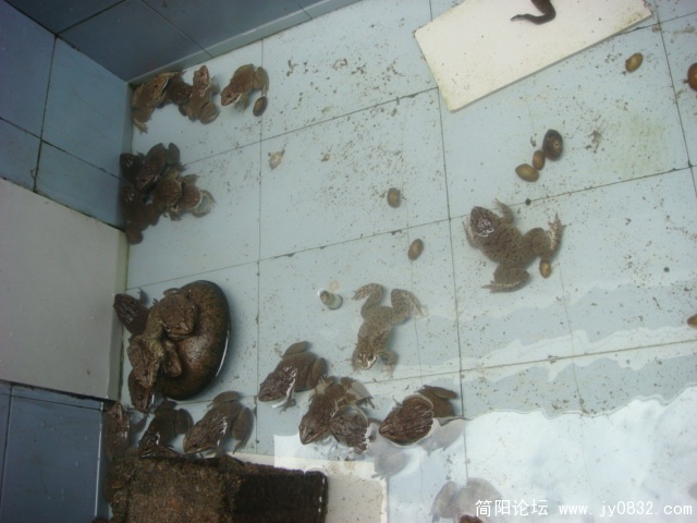 DSC04784.JPG