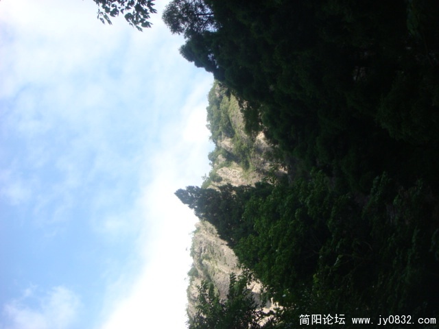 DSC04878.JPG