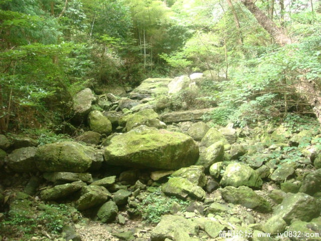 DSC04904.JPG