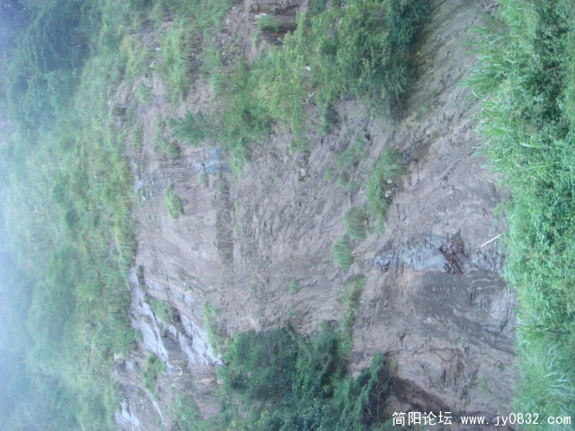 DSC04861.JPG