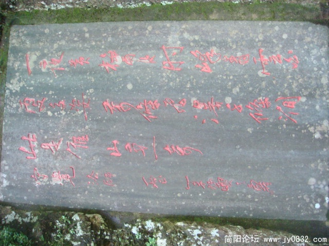 DSC04880.JPG