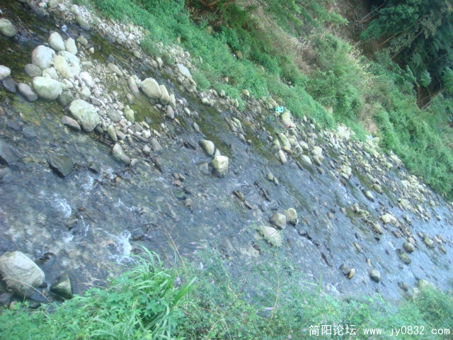 DSC04862.JPG