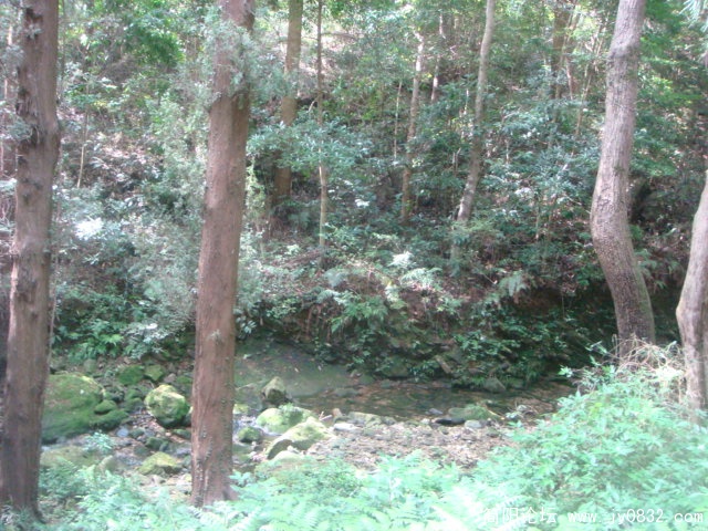 DSC04887.JPG