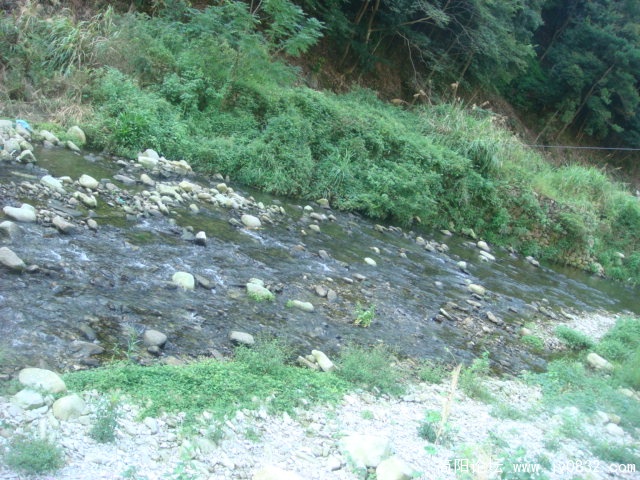 DSC04864.JPG
