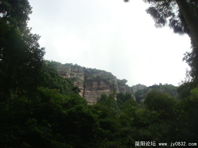 DSC04891.JPG